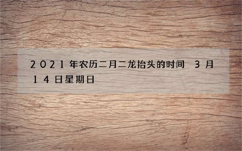2021年农历二月二龙抬头的时间 3月14日星期日